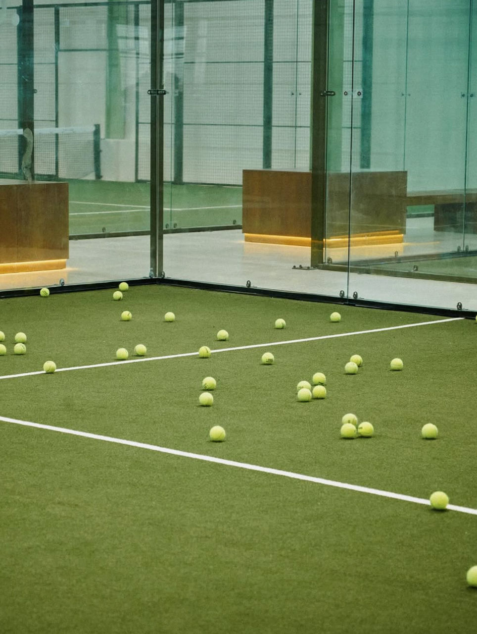 The LOB — падел-клуб